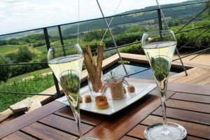 Restaurant - La Montagne de Brancion entre Tournus et Cluny