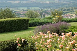 Le jardin fleuri en été - La Montagne de Brancion entre Tournus et Cluny