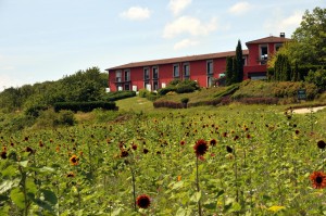 La Montagne de Brancion et sa jachère fleurie