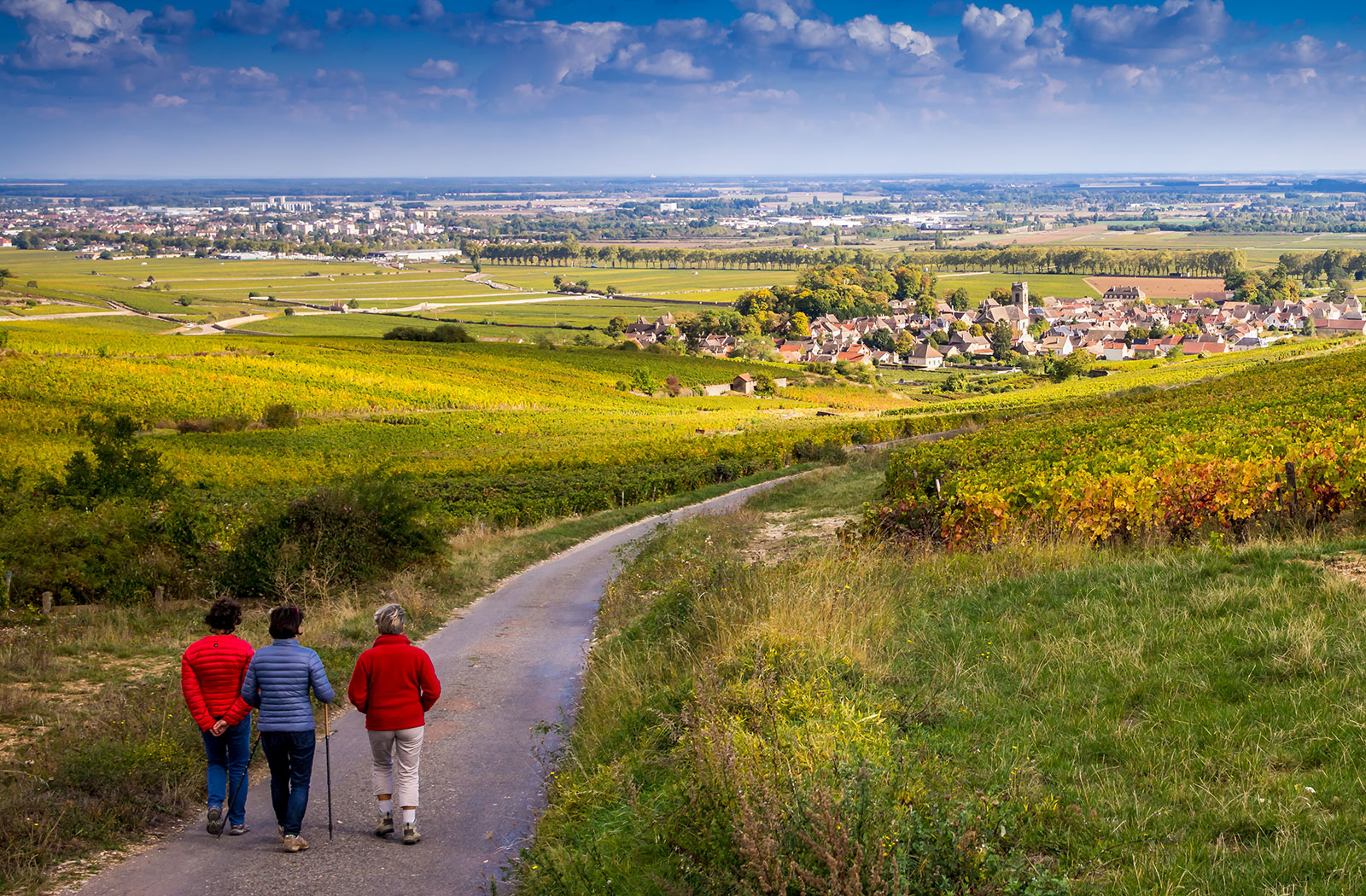 la montagne de brancion randonnée dans le vignoble