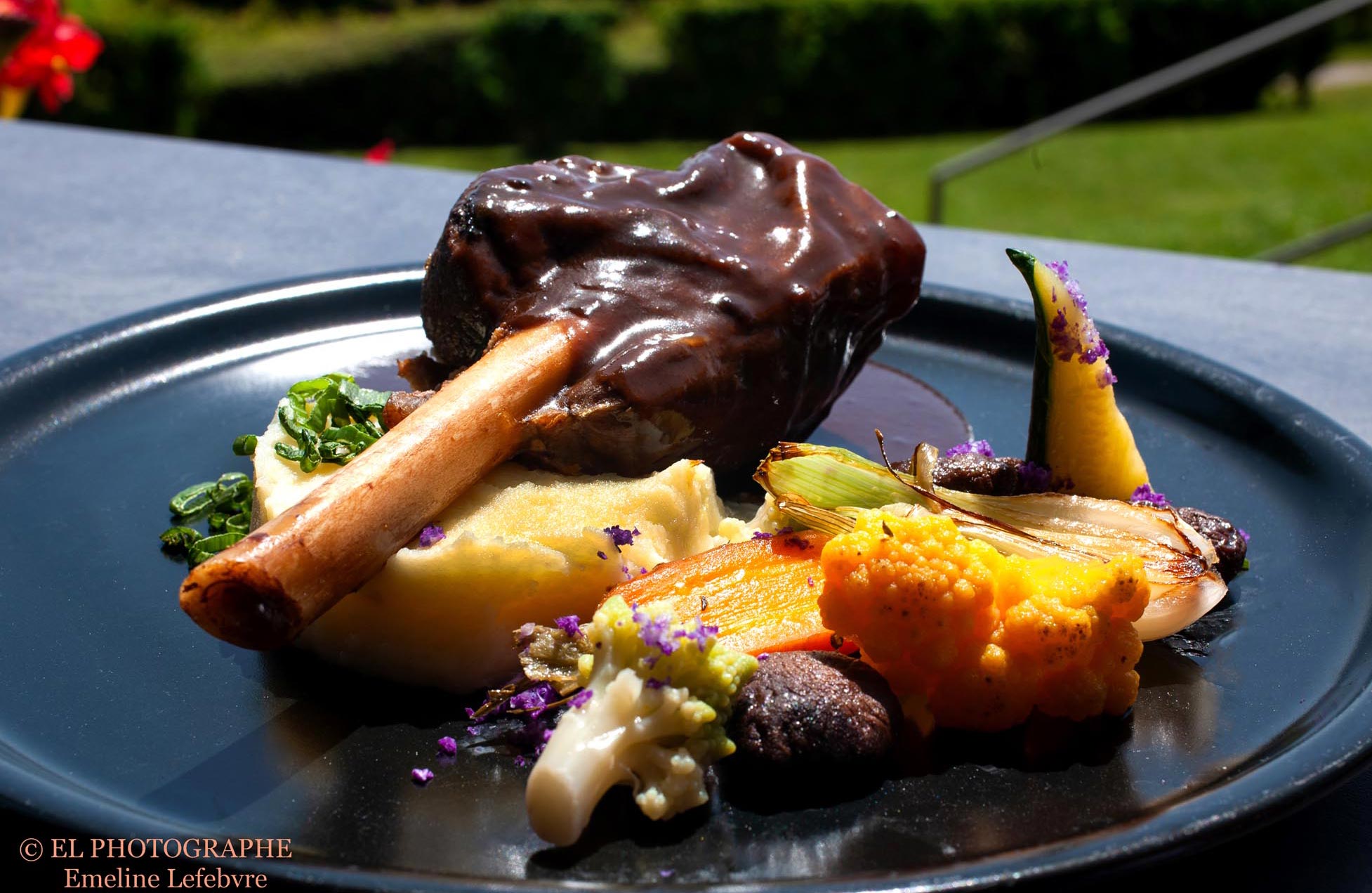 Souris-Agneau : Restaurant - Terrasse - la Montagne de Brancion entre Tournus et Cluny